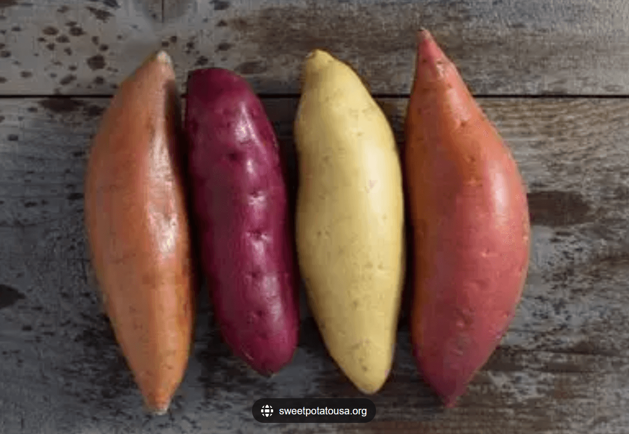 Museum of Sweet Potatoes