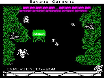 The Midnight Station