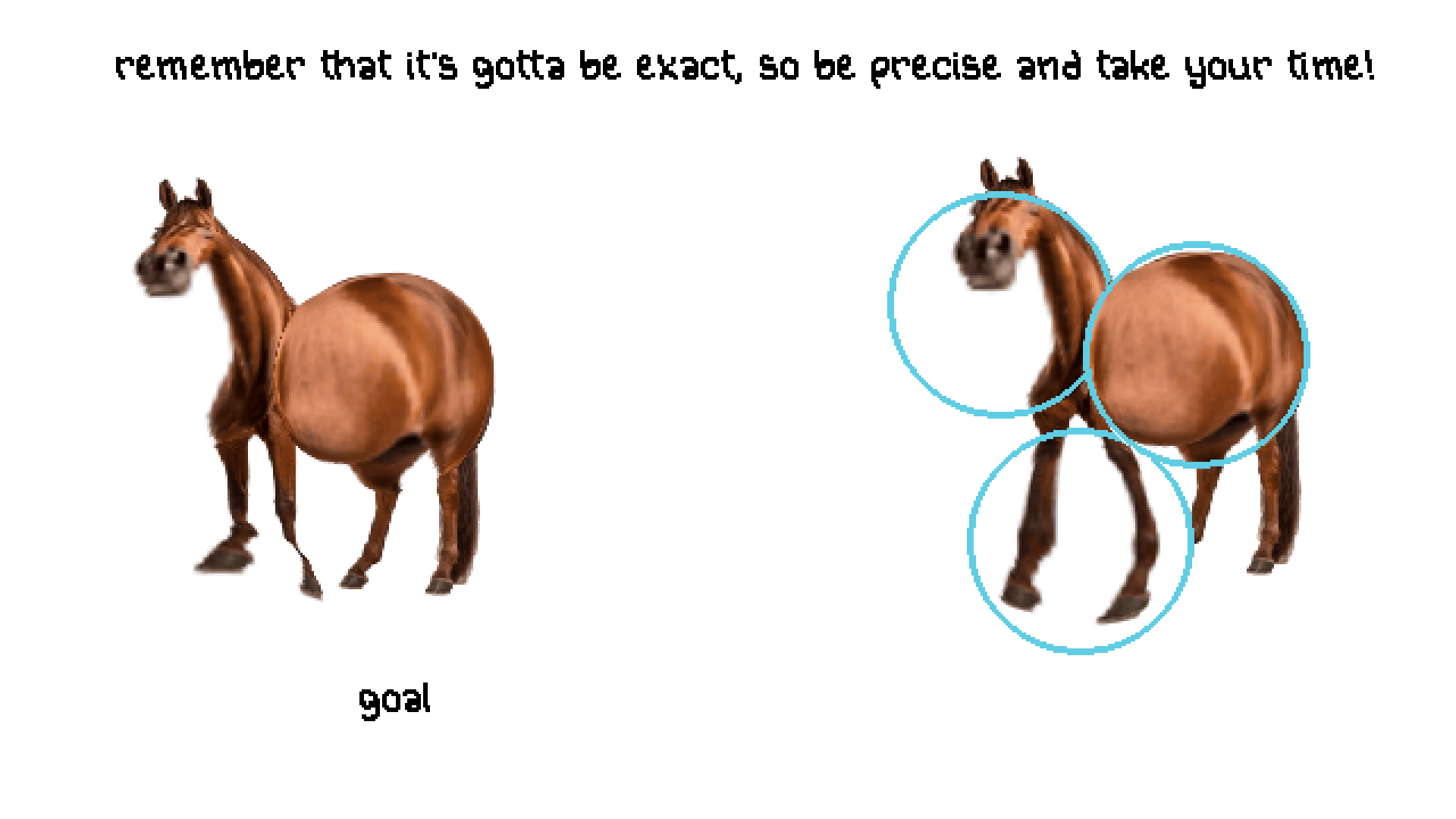 Horse Magnifier