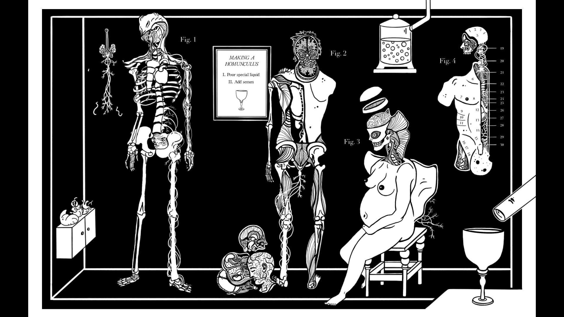 homunculus